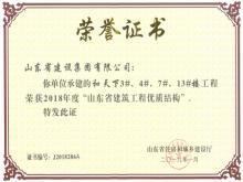 和天下3#、4#、7#、13#樓獲2018年度“山東省建筑工程優(yōu)質(zhì)結(jié)構(gòu)”